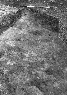 Excavation photograph.