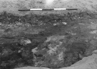 Excavation photograph.