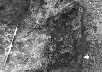 Excavation photograph.  Neg.