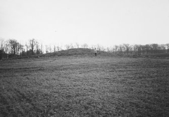 Excavation photograph.