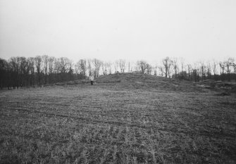 Excavation photograph.