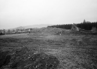 Excavation photograph.