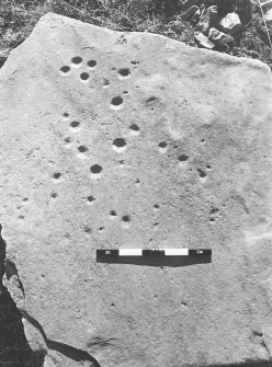 Cup-marked stone.	