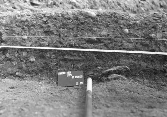 Excavation photograph