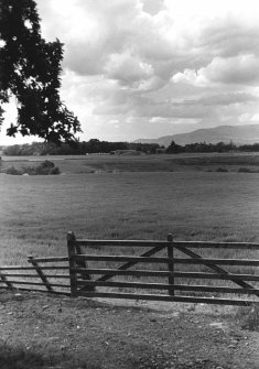 Excavation photograph