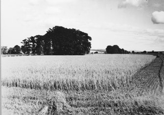 Excavation photograph