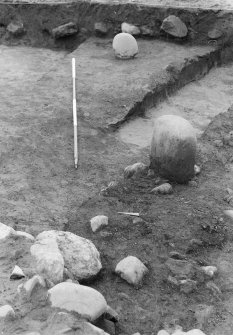 Excavation photograph : F1 standing stone beside cremation, F4 standing stone in background.