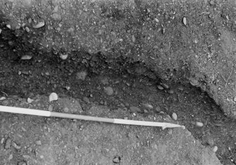 Excavation photograph.  Feature 1.  Palisade trench, detail immediately N of entrance.