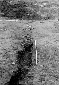 Excavation photograph.  Feature 1.  Palisade trench, looking from entrance.