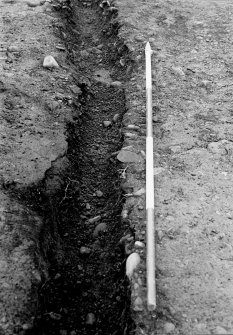 Excavation photograph.  Feature 1.  Palisade trench, mid-section.