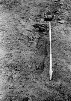 Excavation photograph.  Feature 1.  N end looking SE.