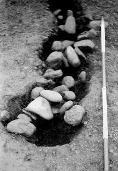 Excavation photograph.  N side of entrance showing expanded terminal of Feature 1.