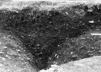 Excavation photograph : area B - f0019, ditch section, from east.