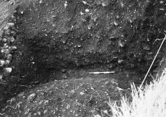 Excavation photograph : area B - f0019, ditch in plan fully excavated, from west.