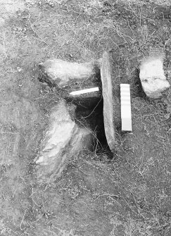 Excavation photograph : area 2 - f2045 - posthole? from W.