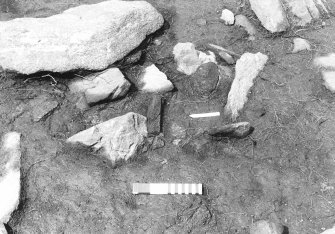 Excavation photograph : area 2 - f2054, ?posthole, Hut H, pre ex, from S.