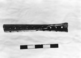 Bone object with perforations K012.