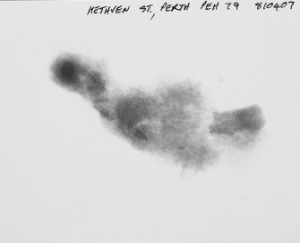 Print of part of one of the large x-rays, showing small finds.