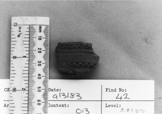 Excavation photograph : small find number 42 - decorated outside pottery edge.