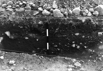 Excavation photograph : east section of ditch - west facing section.