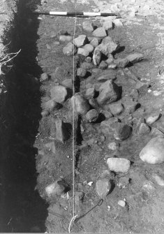 Excavation photograph : F8017 - intermediate stage - stone filling from E.