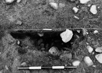 Excavation photograph : area 2a - f2036 - half section, from west.