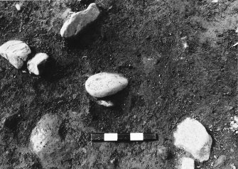 Excavation photograph : area 2a - f2032 pre ex, from south.