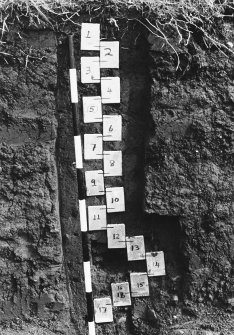 Excavation photograph : area 3 - lane 12, grid ref. 190/446, Kubiena Cans. D.J.