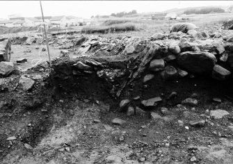 Excavation photograph : area 8/1 - context 8040 - first nail main section, from east.