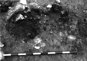 Excavation photograph : area 2c2 - context 2421, 2420, post ex, from west.
