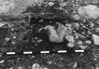Excavation photograph : area 2d - f2503 pre ex Watson.