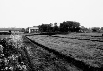 Excavation photograph : panorama, north-south, from west end of field. (2 of 5)