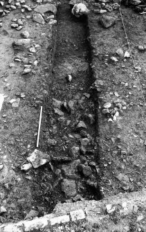Excavation photograph : lower stones within 1m trench.
