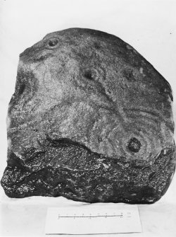 Excavation photograph : cup and ring marked stone.