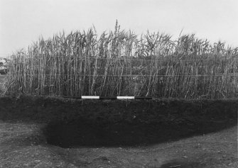 Excavation photograph : trench 1, House RA, section showing feature RA 174.