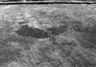 Excavation photograph : trench III - pre excavation from tower, facing south, showing crescent shaped hollow.