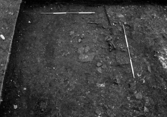 Excavation photograph : trench 5 - after removal of topsoil, from N.