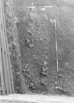 Excavation photograph : trench 5, showing robber trench f161, from W.