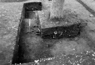Excavation photograph : trench 5 , whole of f164, from W.