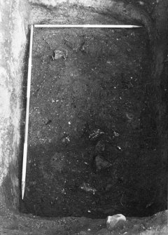 Excavation photograph : tannery pit f166 after removal of f239, from S.