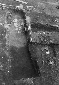 Excavation photograph : robber trench f242 after excavation, from S.