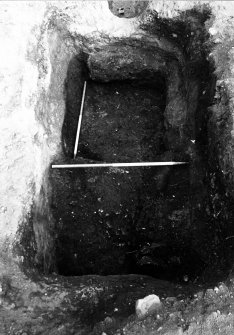 Excavation photograph : pit f166 showing clay lining f275 and slippage.