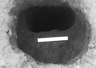 Excavation photograph : post in situ in pit f358, from W.