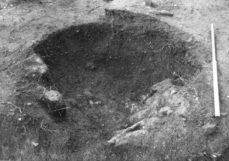 Excavation photograph : clay lining in pit f957, from N.