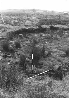Excavation photograph. South side 8,7 & 10, looking towards Moss Farm.