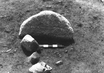 Excavation photograph.  F345 post-excavation, from north.