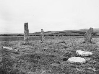Circle 2 looking north - general view showing present day condition of stones.