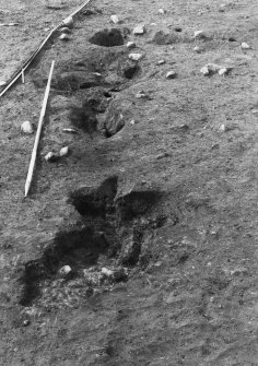 Excavation photograph.  F595, 601, 605, 617, 593 and 584, from south.