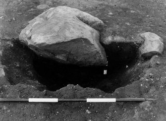 Excavation photograph. F173 half sectioned, from north.
