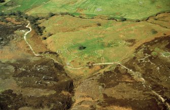 Aerial view of Bad A' Chrasgaidh & Morvich Burn settlements, Strath Fleet, near Golspie, East Sutherland, looking SW.